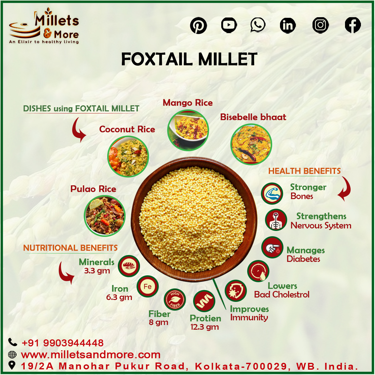 Foxtail millet(C)