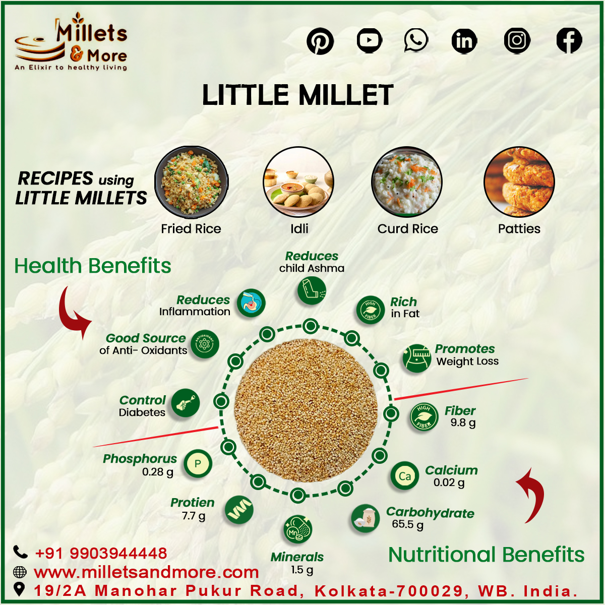Little Millet(C)