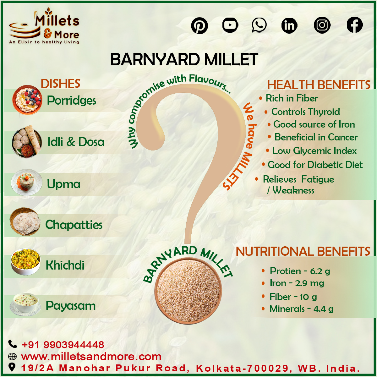 barnyard millet( C)