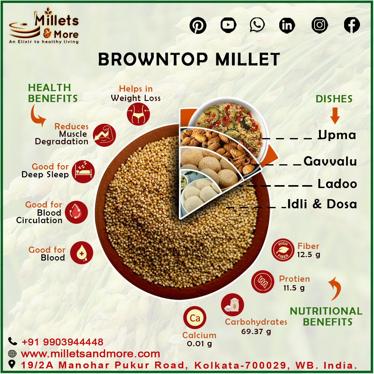 browntop millet(C)